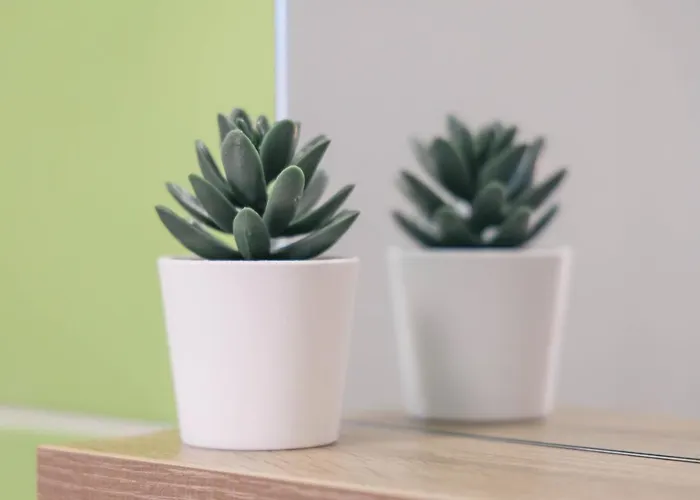 호스텔 Sobe Kaki In Kivi